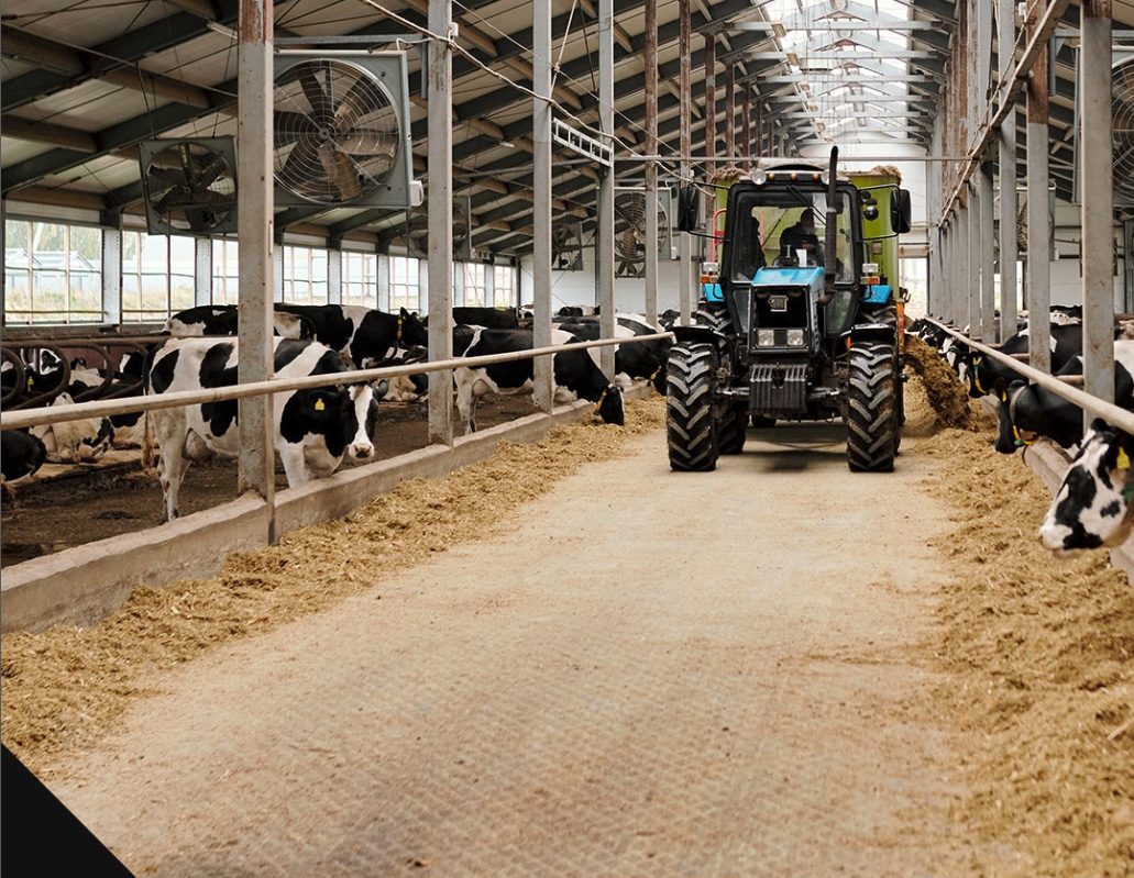 MAXABASE grid flooring in a livestock barn
